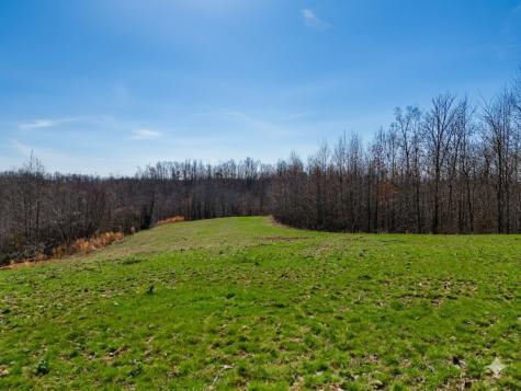 0 Elk Drive Hurricane Mills TN 37078
