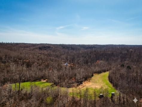 0 Elk Drive Hurricane Mills TN 37078
