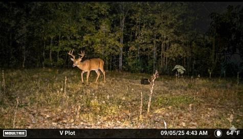 0 Elk Drive Hurricane Mills TN 37078