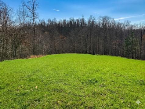 0 Elk Drive Hurricane Mills TN 37078