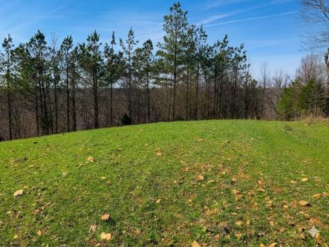 0 Elk Drive Hurricane Mills TN 37078
