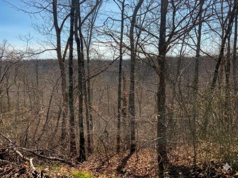 0 Elk Drive Hurricane Mills TN 37078