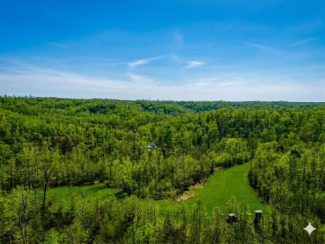 0 Elk Drive Hurricane Mills TN 37078