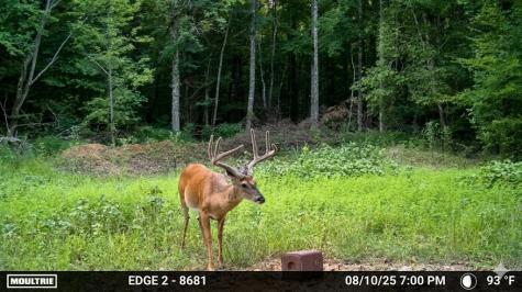0 Elk Drive Hurricane Mills TN 37078