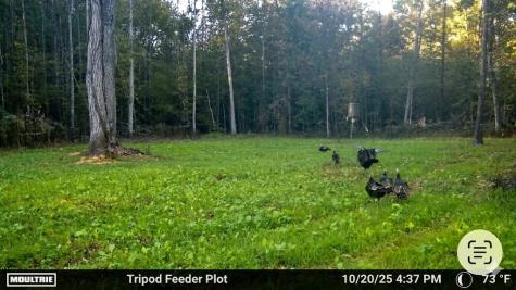 0 Elk Drive Hurricane Mills TN 37078