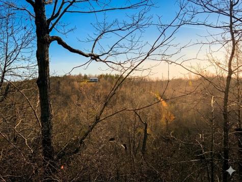 0 Elk Drive Hurricane Mills TN 37078