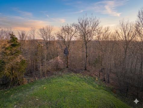 0 Elk Drive Hurricane Mills TN 37078
