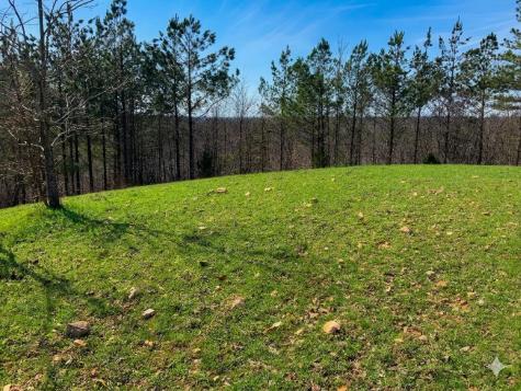 0 Elk Drive Hurricane Mills TN 37078
