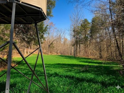 0 Elk Drive Hurricane Mills TN 37078