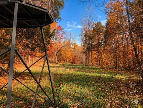0 Elk Drive Hurricane Mills TN 37078
