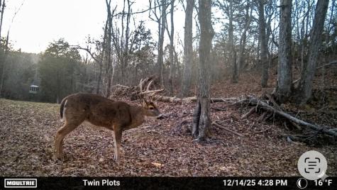 0 Elk Drive Hurricane Mills TN 37078