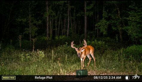 0 Elk Drive Hurricane Mills TN 37078