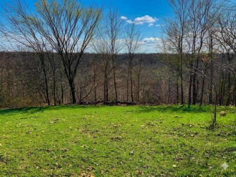 0 Elk Drive Hurricane Mills TN 37078