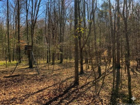 0 Elk Drive Hurricane Mills TN 37078