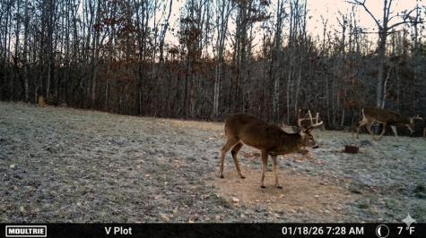 0 Elk Drive Hurricane Mills TN 37078