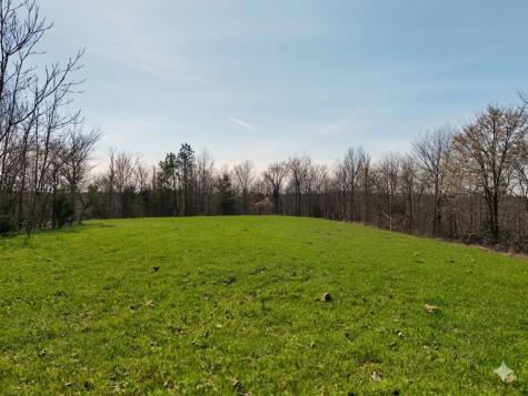 0 Elk Drive Hurricane Mills TN 37078