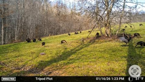 0 Elk Drive Hurricane Mills TN 37078