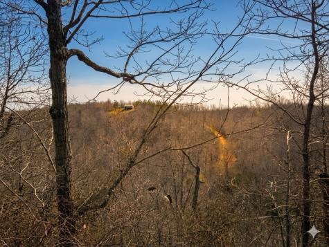 0 Elk Drive Hurricane Mills TN 37078