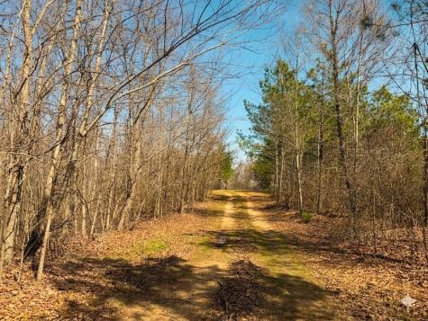 0 Elk Drive Hurricane Mills TN 37078