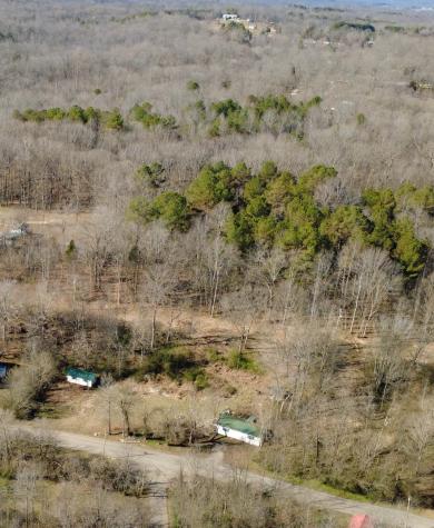 531 Big Rock Road Big Rock TN 37023