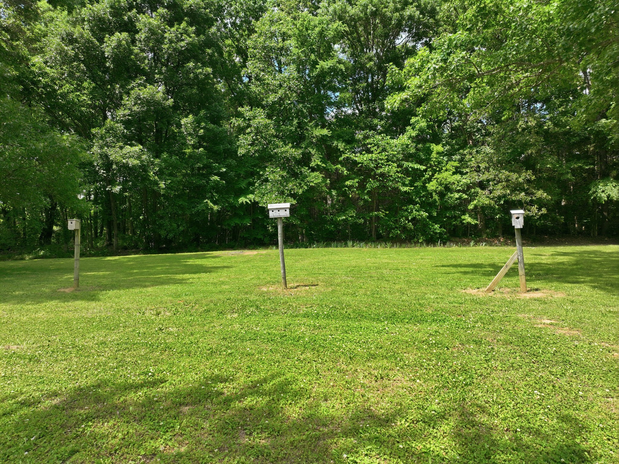 3041 Unionville Deason Road Bell Buckle TN 37020