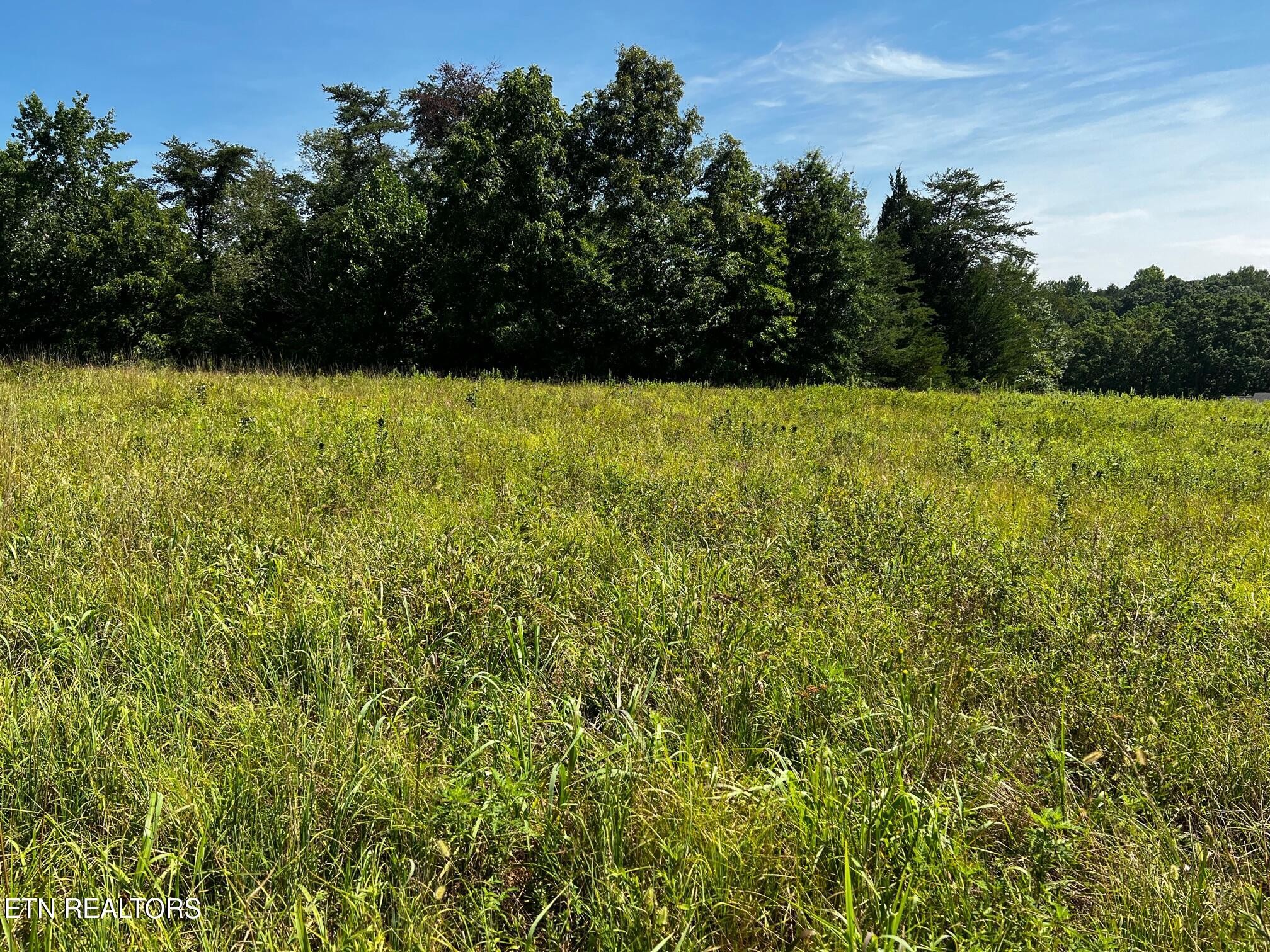 0 White Oak Road Dayton TN 37321