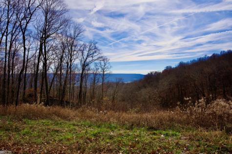 323A White Oak Flatt Road Sparta TN 38583