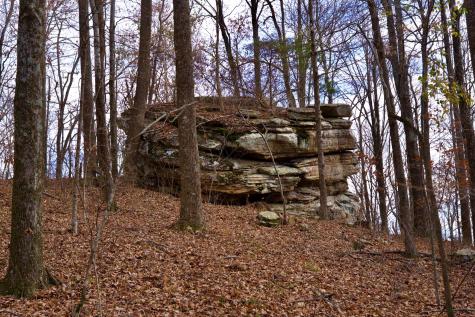 323A White Oak Flatt Road Sparta TN 38583