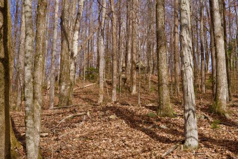 323A White Oak Flatt Road Sparta TN 38583