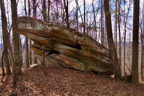 323A White Oak Flatt Road Sparta TN 38583