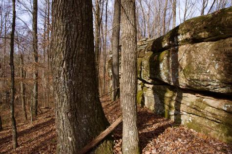 323A White Oak Flatt Road Sparta TN 38583