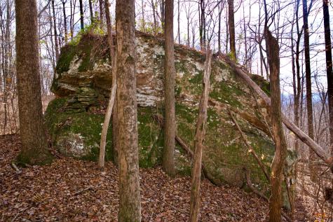 323A White Oak Flatt Road Sparta TN 38583