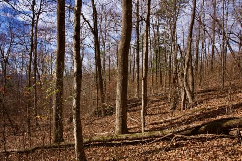 323A White Oak Flatt Road Sparta TN 38583