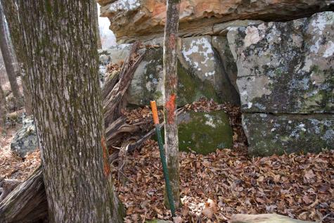 323A White Oak Flatt Road Sparta TN 38583