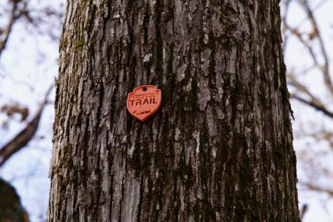 323A White Oak Flatt Road Sparta TN 38583