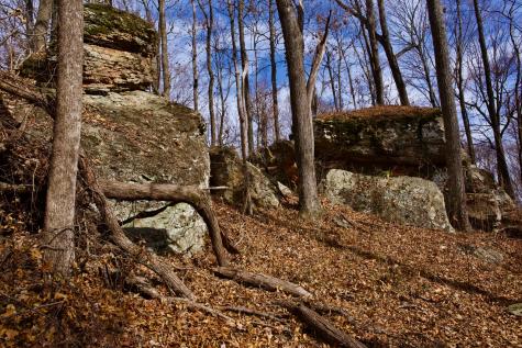 323A White Oak Flatt Road Sparta TN 38583