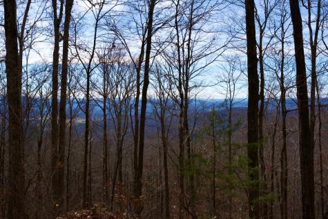 323A White Oak Flatt Road Sparta TN 38583