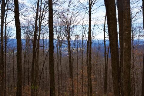 323A White Oak Flatt Road Sparta TN 38583