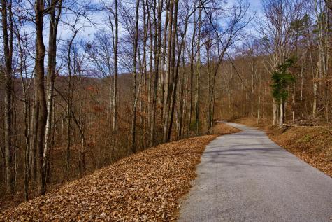 323A White Oak Flatt Road Sparta TN 38583