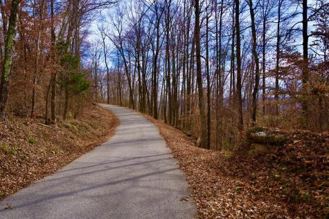 323A White Oak Flatt Road Sparta TN 38583