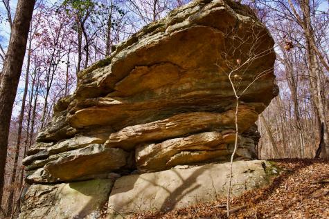 323A White Oak Flatt Road Sparta TN 38583