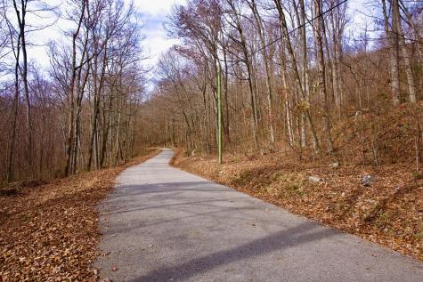 323A White Oak Flatt Road Sparta TN 38583