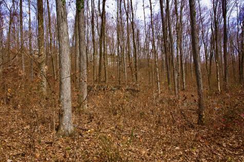 323A White Oak Flatt Road Sparta TN 38583