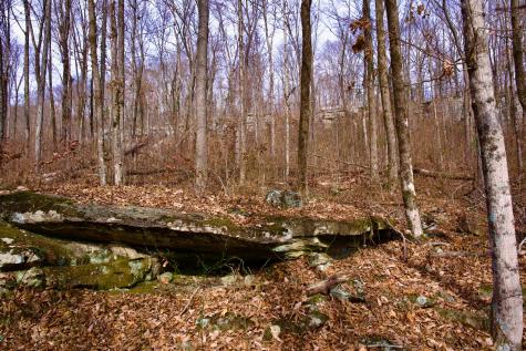 323A White Oak Flatt Road Sparta TN 38583