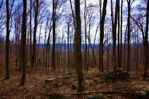 323A White Oak Flatt Road Sparta TN 38583