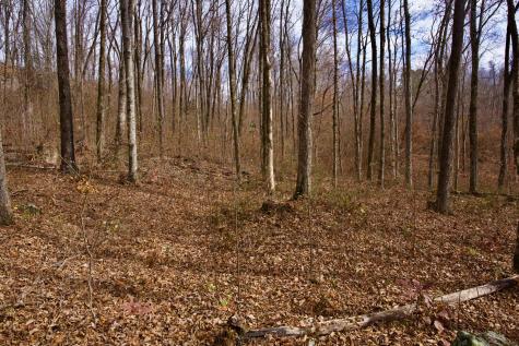 323A White Oak Flatt Road Sparta TN 38583