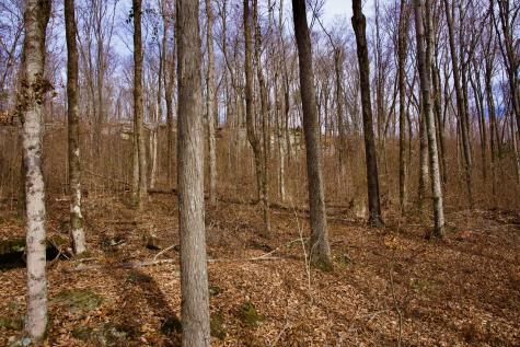 323A White Oak Flatt Road Sparta TN 38583