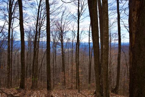 323A White Oak Flatt Road Sparta TN 38583