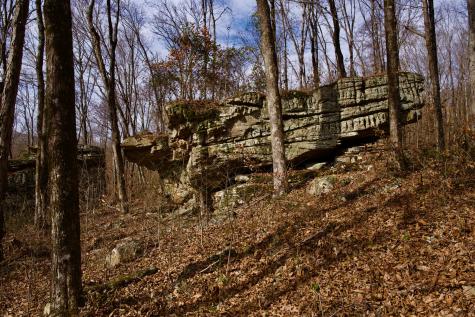 323A White Oak Flatt Road Sparta TN 38583