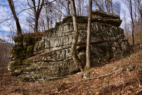 323A White Oak Flatt Road Sparta TN 38583